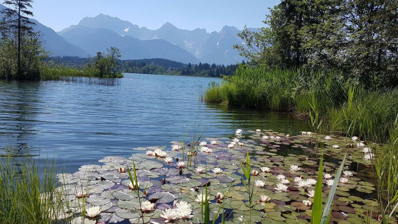 Ferienwohnung Soiernblick Kruen Baernbichl Екстер'єр фото